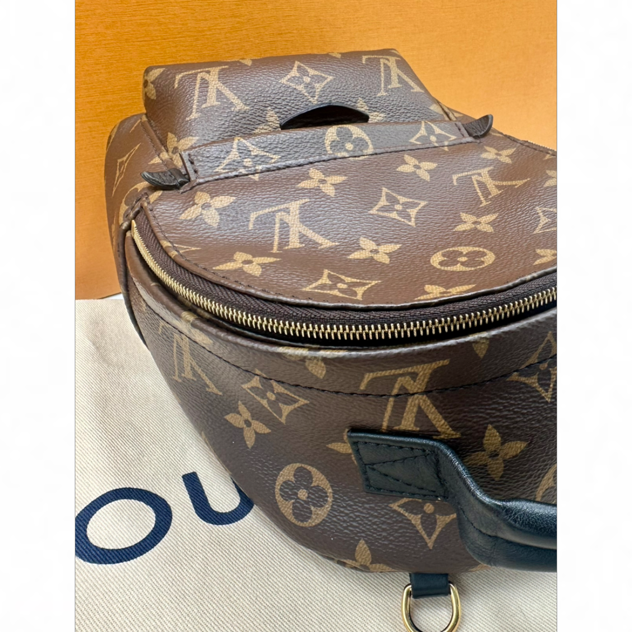 Louis Vuitton Palm Springs Mini Backpack | Shop Authentique Lux