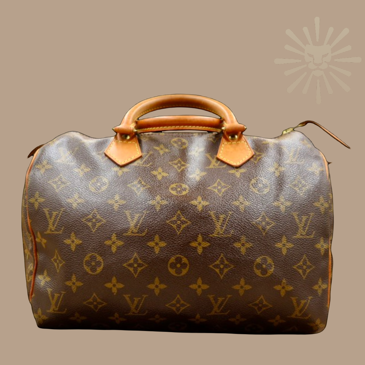Louis Vuitton Speedy 30 - Authentique Lux