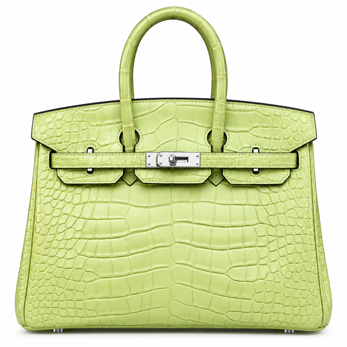 HERMÈS Birkin 25, Matte Crocodile, R9 Tender Sprout Green / Vert Criquet, Palladium Hardware, 2021 | Shop Authentique Lux