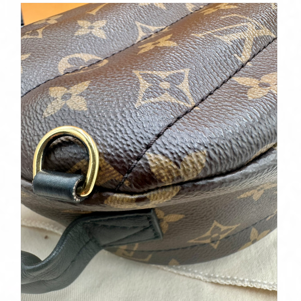 Louis Vuitton Palm Springs Mini Backpack | Shop Authentique Lux