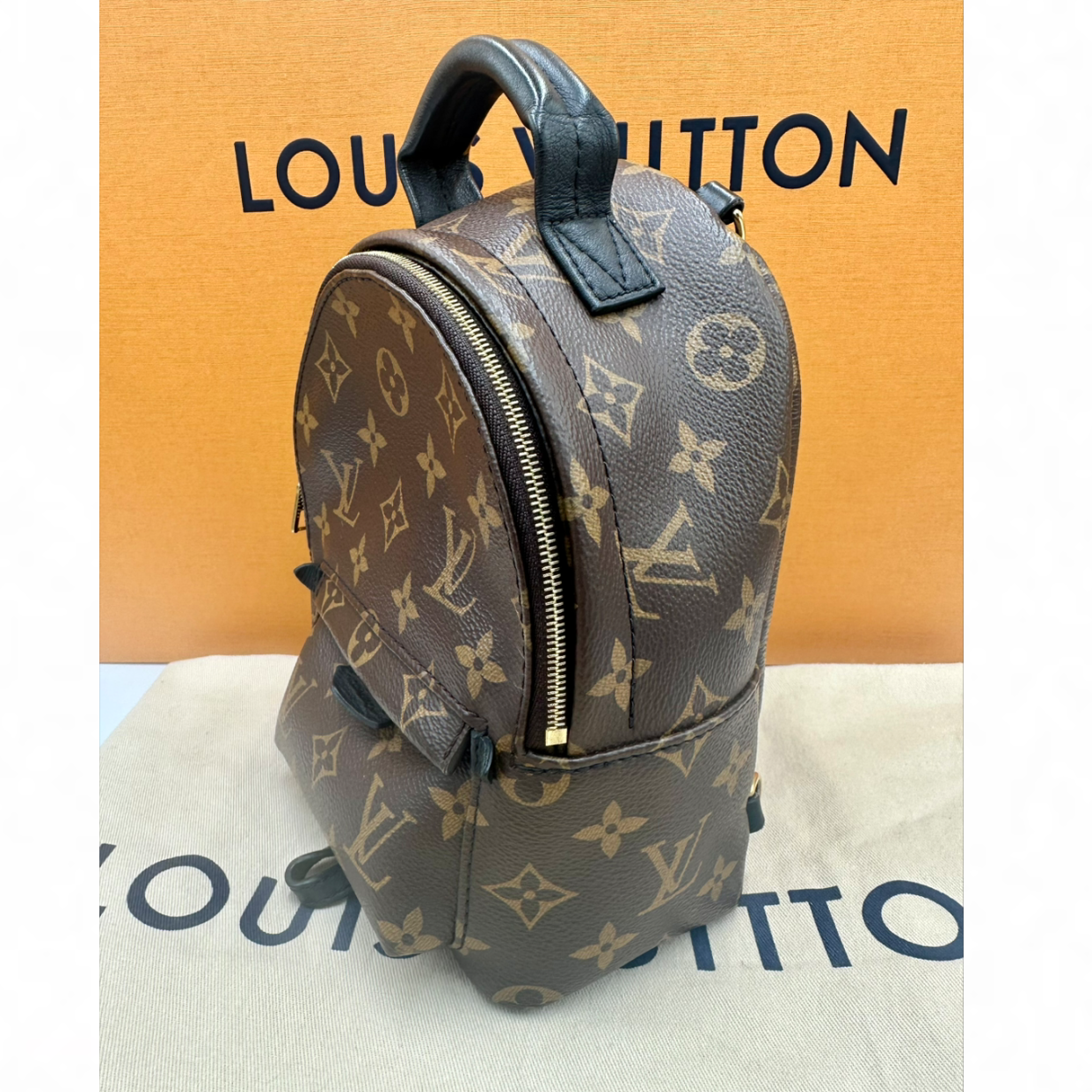 Louis Vuitton Palm Springs Mini Backpack | Shop Authentique Lux