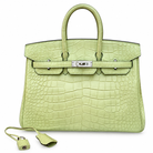 HERMÈS Birkin 25, Matte Crocodile, R9 Tender Sprout Green / Vert Criquet, Palladium Hardware, 2021 | Shop Authentique Lux