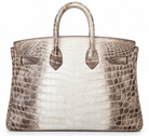 Hermès Himalaya Niloticus Crocodile Birkin 30 Palladium Hardware, 2008 | Shop Authentique Lux