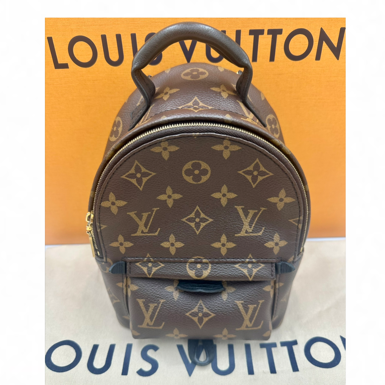 Louis Vuitton Palm Springs Mini Backpack | Shop Authentique Lux