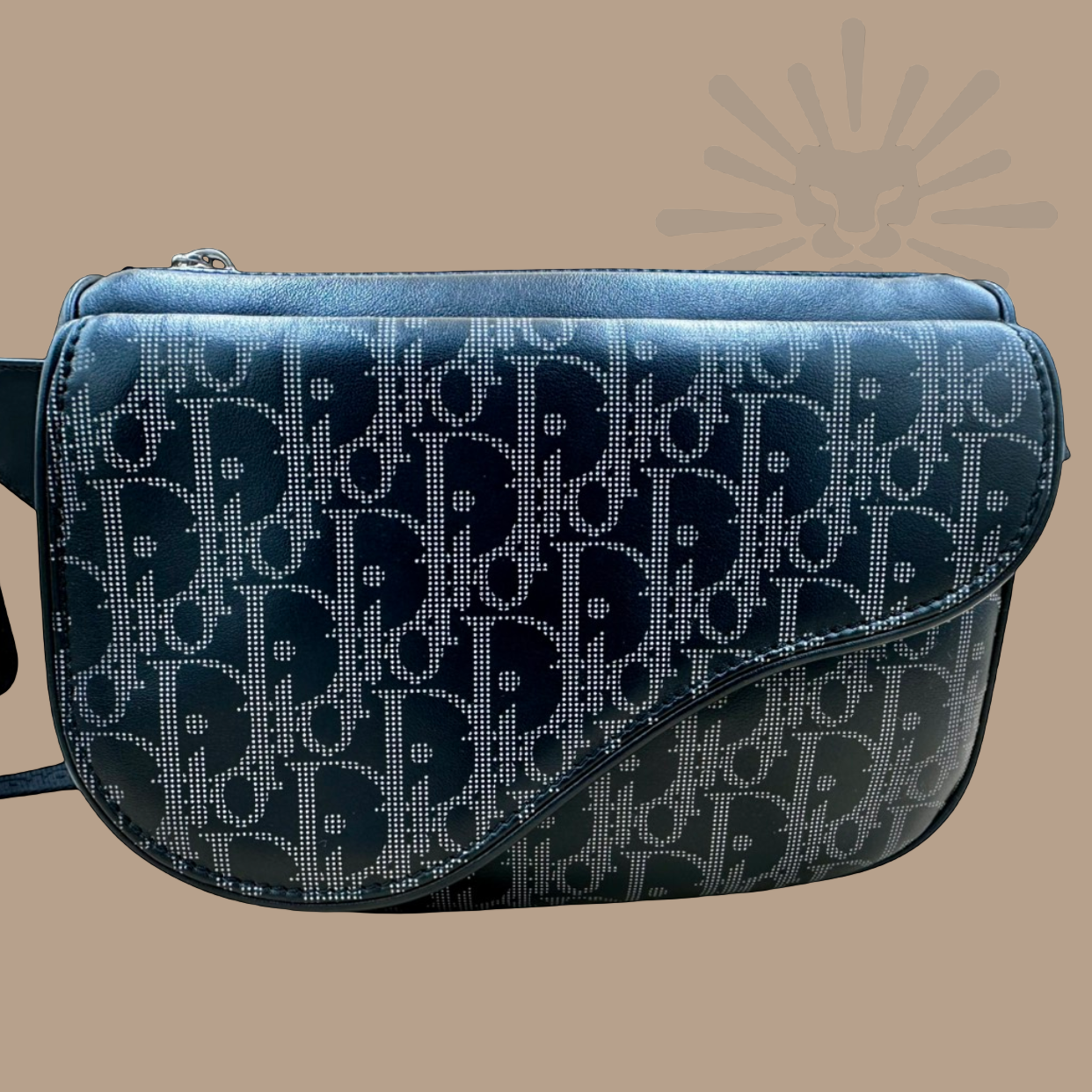 Dior Galaxy Saddle Belt Bag with Adjustable Strap – Authentique Luxury