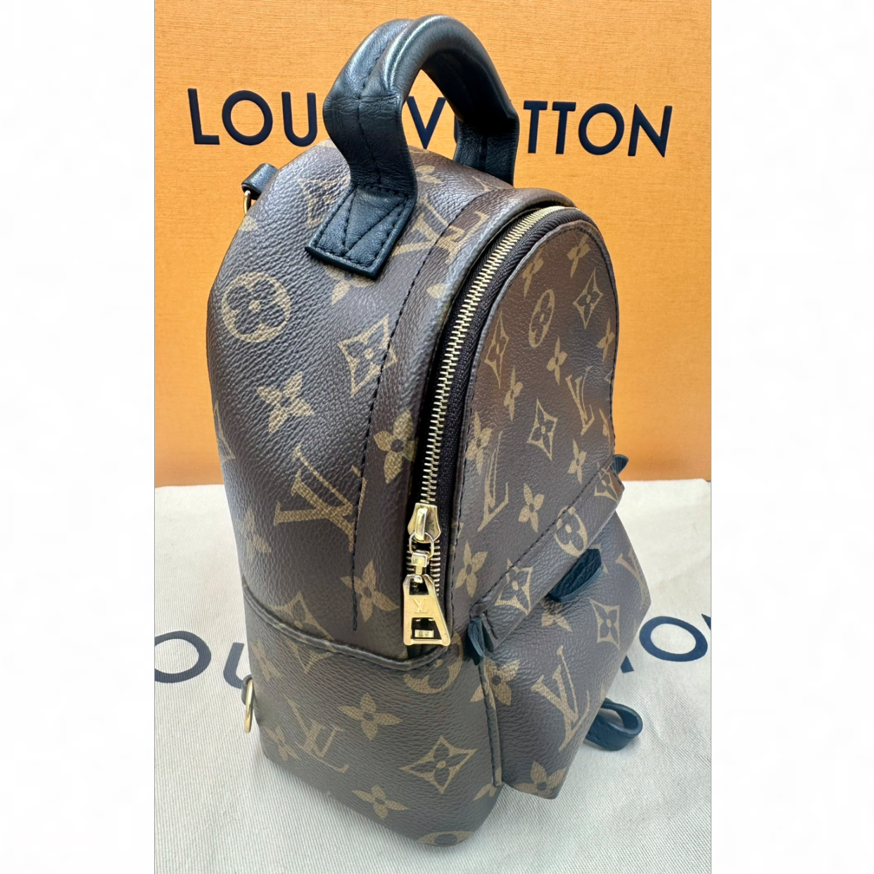 Louis Vuitton Palm Springs Mini Backpack | Shop Authentique Lux