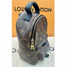 Louis Vuitton Palm Springs Mini Backpack | Shop Authentique Lux