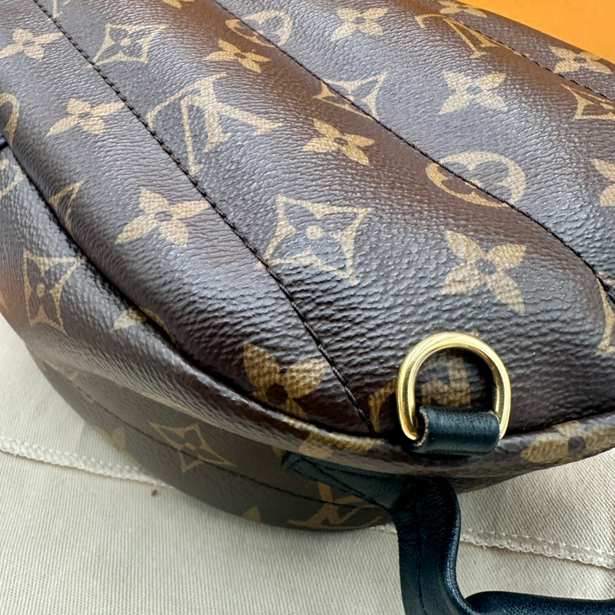 Louis Vuitton Palm Springs Mini Backpack | Shop Authentique Lux