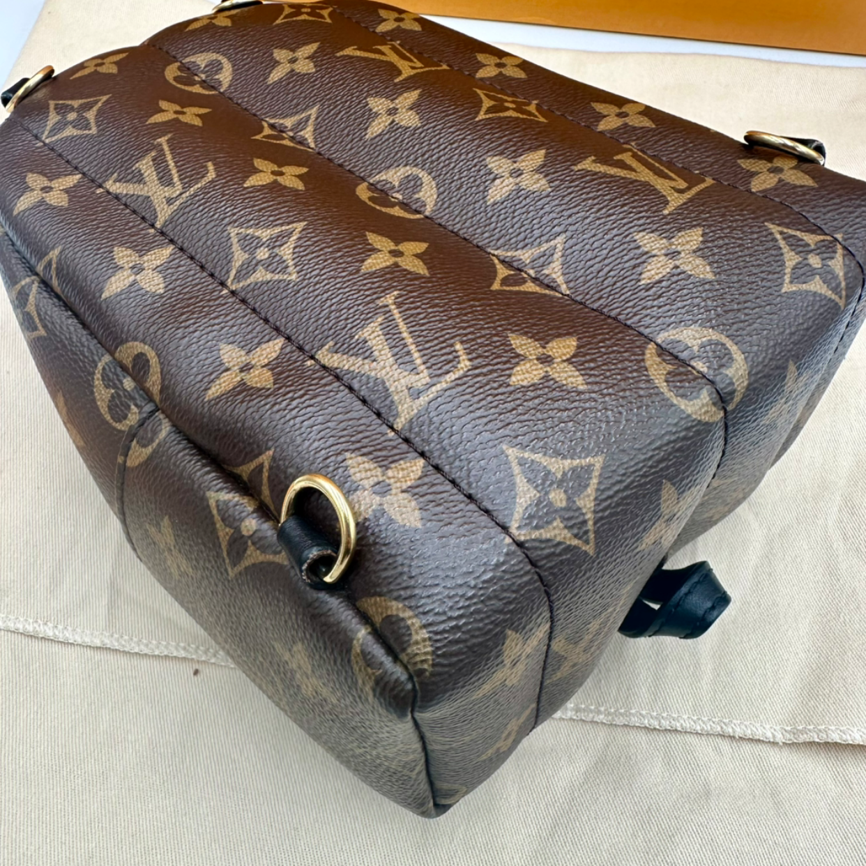 Louis Vuitton Palm Springs Mini Backpack | Shop Authentique Lux