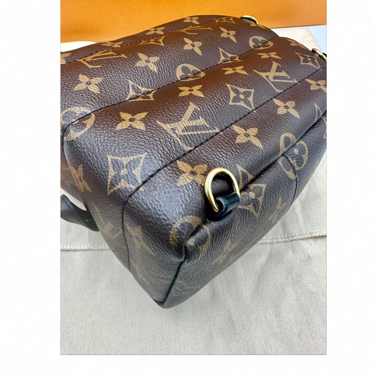 Louis Vuitton Palm Springs Mini Backpack | Shop Authentique Lux