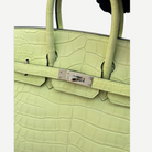HERMÈS Birkin 25, Matte Crocodile, R9 Tender Sprout Green / Vert Criquet, Palladium Hardware, 2021 | Shop Authentique Lux