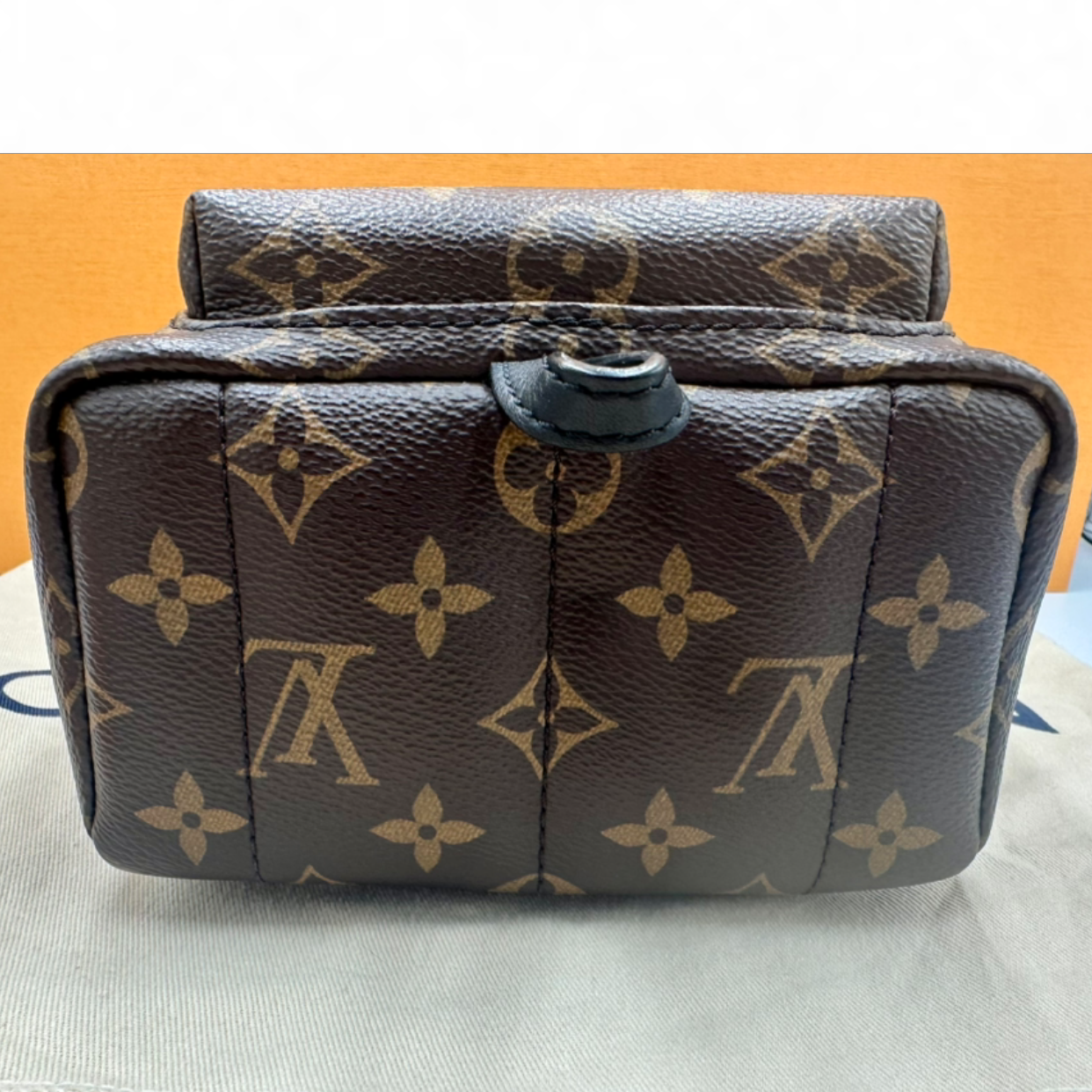 Louis Vuitton Palm Springs Mini Backpack | Shop Authentique Lux
