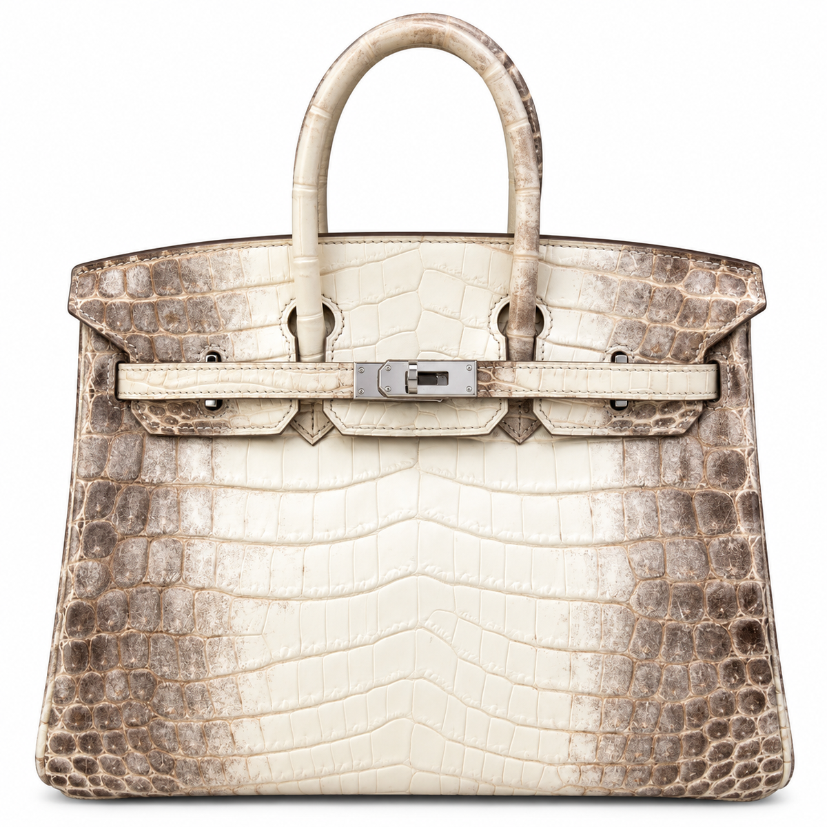 HERMÈS Birkin 25, Matte Himalaya Niloticus Crocodile, Palladium Hardware, 2012 | Shop Authentique Lux