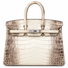 HERMÈS Birkin 25, Matte Himalaya Niloticus Crocodile, Palladium Hardware, 2012 | Shop Authentique Lux