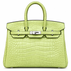 HERMÈS Birkin 25, Matte Crocodile, R9 Tender Sprout Green / Vert Criquet, Palladium Hardware, 2021 | Shop Authentique Lux