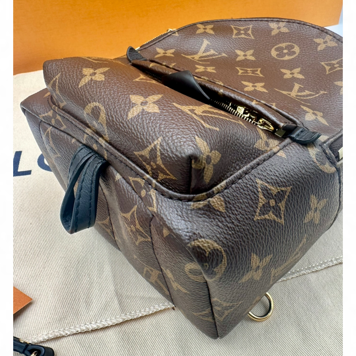 Louis Vuitton Palm Springs Mini Backpack | Shop Authentique Lux