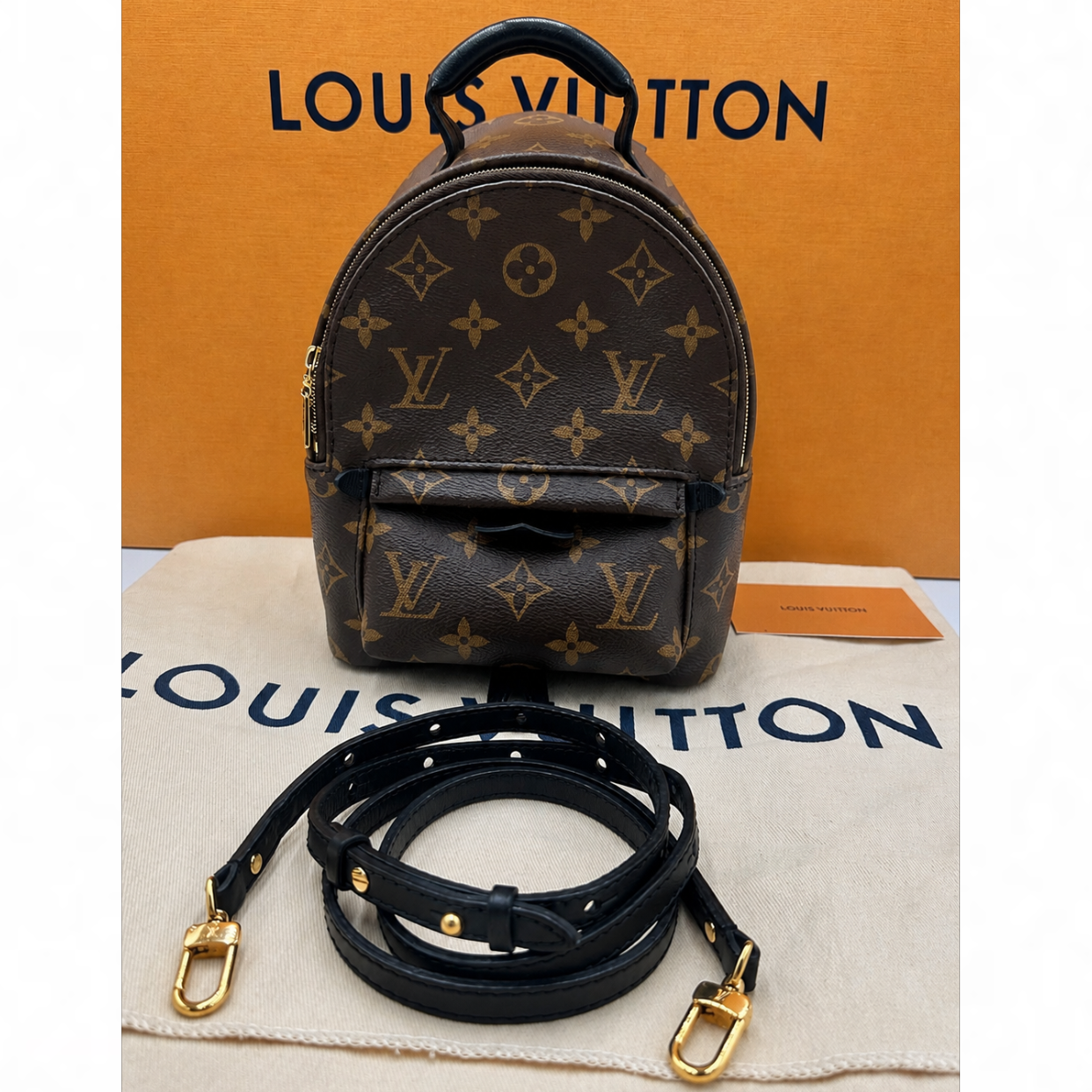 Louis Vuitton Palm Springs Mini Backpack | Shop Authentique Lux