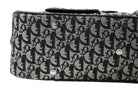 DIOR Diorissimo Frame Satchel, Navy and Beige Canvas, Silver-Tone Hardware | Shop Authentique Lux